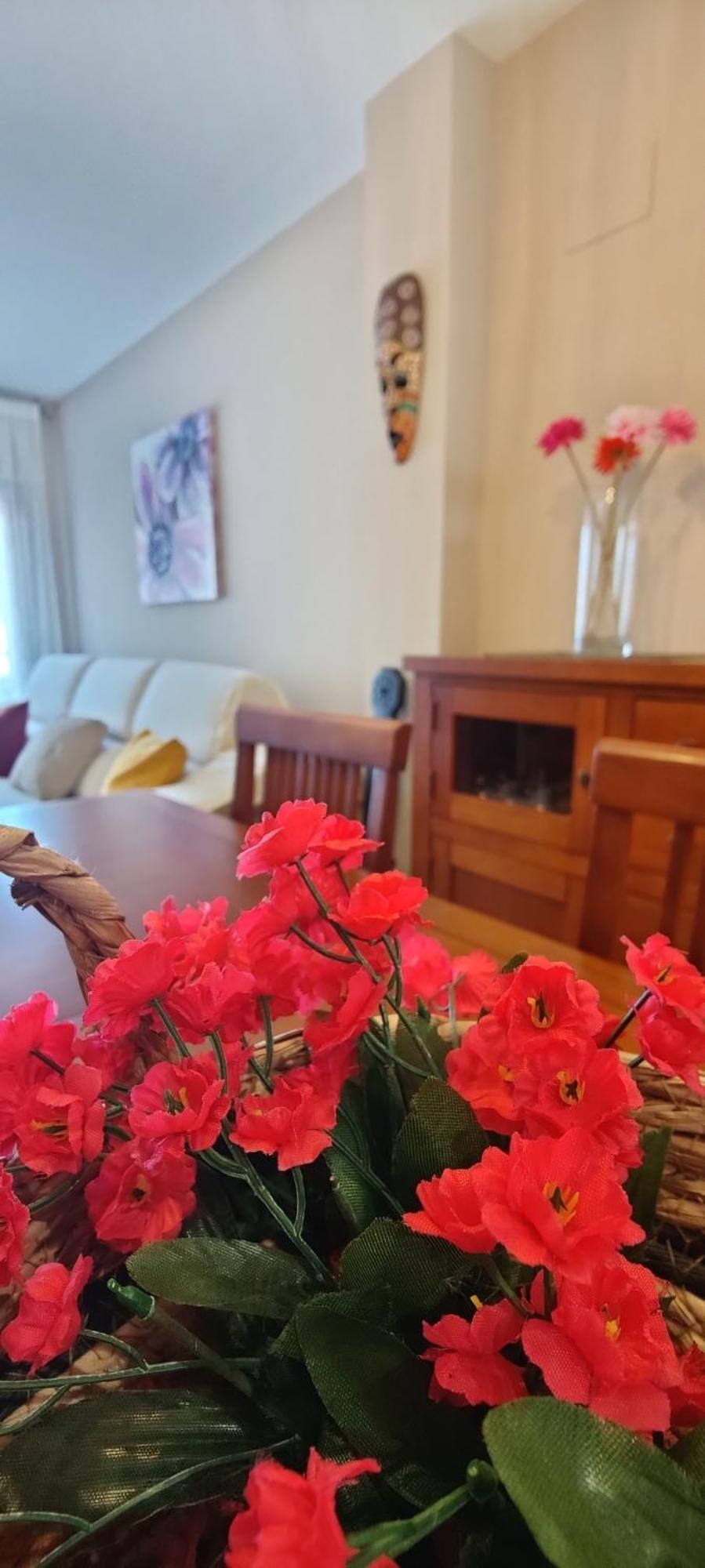 Apartamento Ca L'Esmolet Tremp Exterior foto